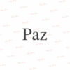 P038 - MINI PAZ