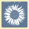 SB228 GIRASOL