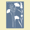 SG410 FLORES SILVESTRES
