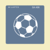 SA406 Pelota Fútbol Nuevo